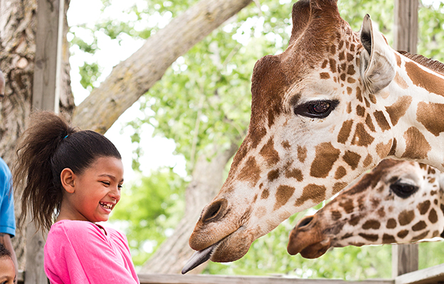 this gift guide recommends buy membership at the sedgwick county zoo in wichita, kansas
